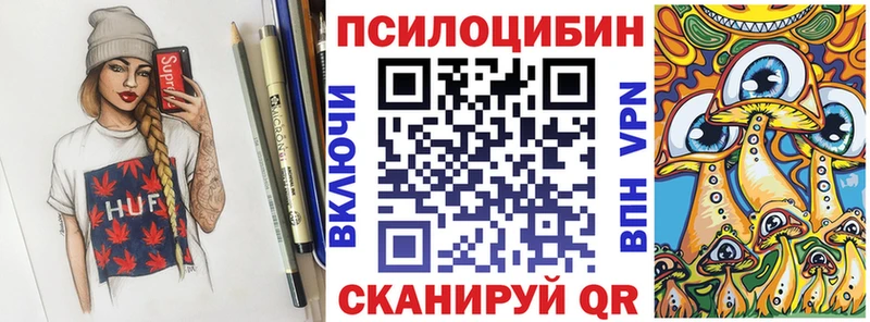 Галлюциногенные грибы Psilocybe где найти Кизляр